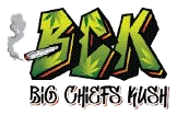 Client logo 16